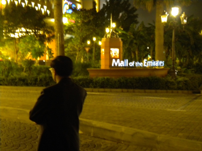 Dubai101.jpg