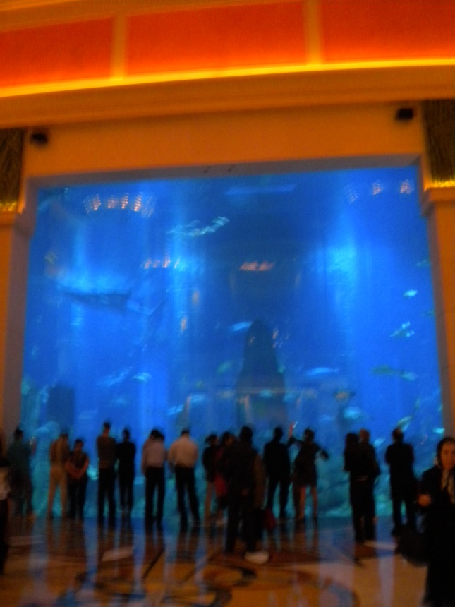 Dubai176.jpg