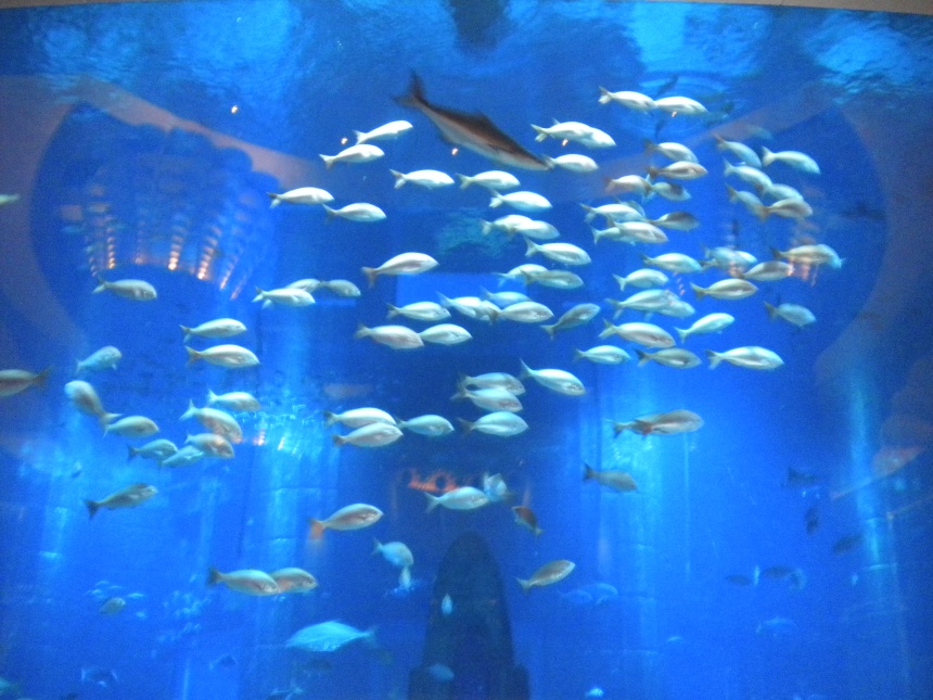 Dubai188.jpg