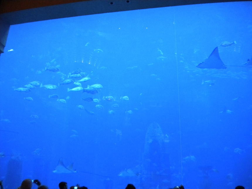 Dubai376.jpg