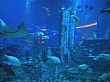 Dubai202.jpg