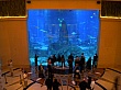 Dubai275.jpg