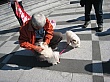 IMG_9242.jpg