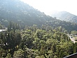 IMG_9255.jpg