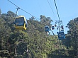 IMG_9262.jpg