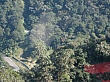 IMG_9263.jpg