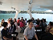Thumbnail of IMG_9325.jpg