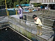 Thumbnail of IMG_9355.jpg