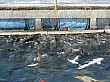Thumbnail of IMG_9357.jpg