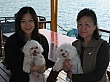 Thumbnail of IMG_9378.jpg