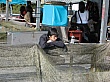 Thumbnail of IMG_9379.jpg