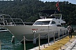 Thumbnail of photo 734.jpg