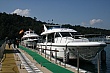 Thumbnail of photo 737.jpg