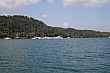 Thumbnail of photo 774.jpg