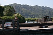 Thumbnail of photo 802.jpg