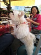 Thumbnail of IMG_9320.jpg