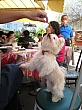 Thumbnail of IMG_9322.jpg