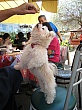 Thumbnail of IMG_9323.jpg