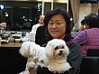Thumbnail of Xmas34.jpg
