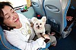 Thumbnail of Trip_15.jpg