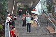 Thumbnail of Trip_176.jpg