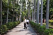 Thumbnail of Trip_295.jpg