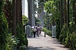 Thumbnail of Trip_296.jpg