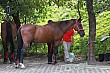 Thumbnail of Trip_53.jpg