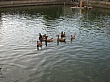 1514_1.jpg