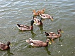 1514_10.jpg