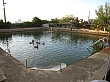 1514_9.jpg