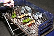 1514_91.jpg