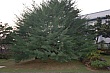 1222T_47.jpg