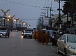 DSCN2874.jpg