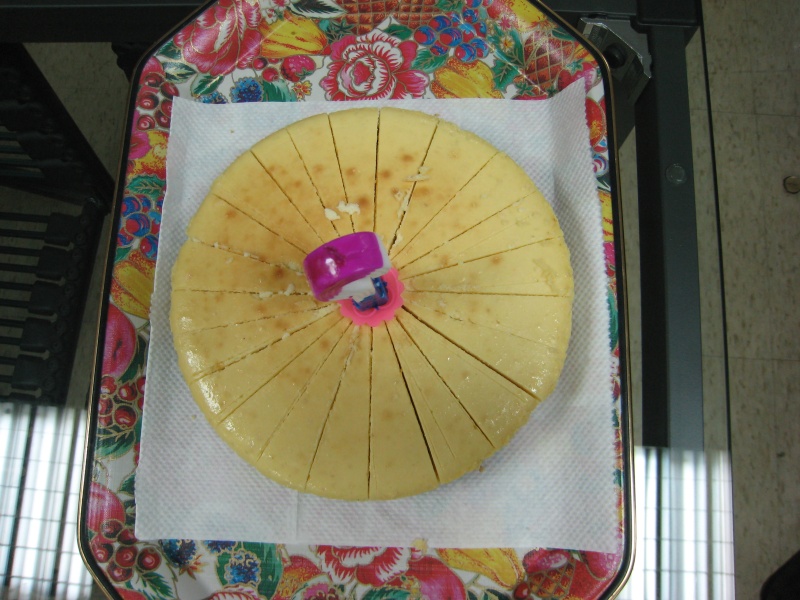 1523_42.jpg