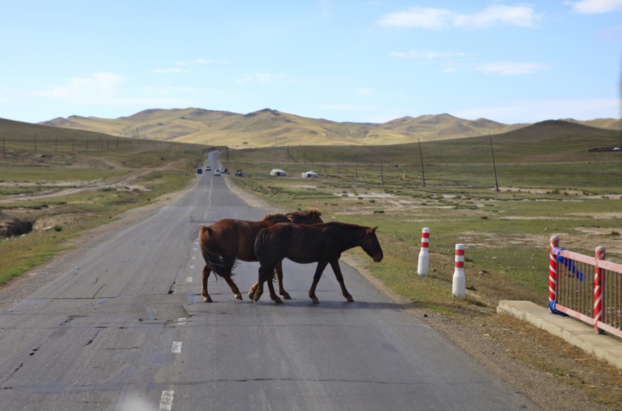 _MG_2075.jpg
