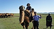 Thumbnail of DSC02509.jpg