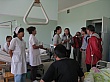 Thumbnail of IMG_4782.jpg