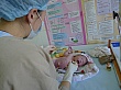 Thumbnail of P1020666.jpg