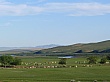 Thumbnail of P1020685.jpg