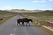 Thumbnail of _MG_2075.jpg