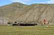 Thumbnail of _MG_2115.jpg