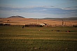 Thumbnail of _MG_2183.jpg