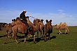 Thumbnail of _MG_2935.jpg