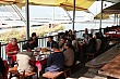 Thumbnail of Trip084.jpg