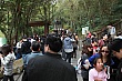 Thumbnail of Trip126.jpg