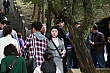 Thumbnail of Trip128.jpg