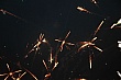 LKF142