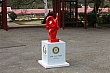 Thumbnail of DTTS_214.jpg