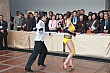 PETS_337